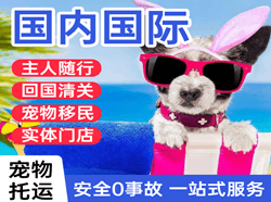 鞍山腾鳌航空货运国际宠物托运 【国